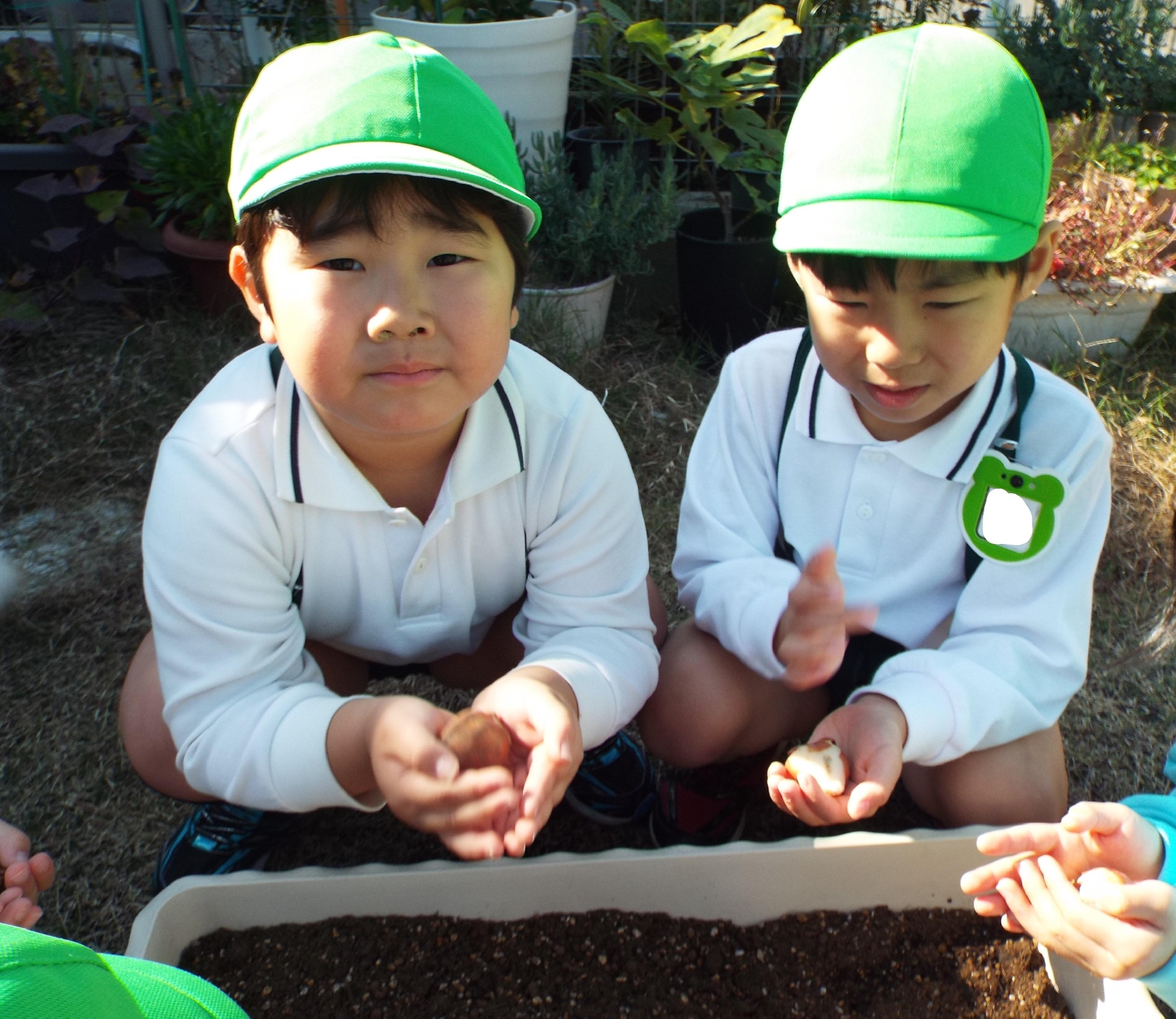 令和７年１１月１７日（月）　給食　チューリップ